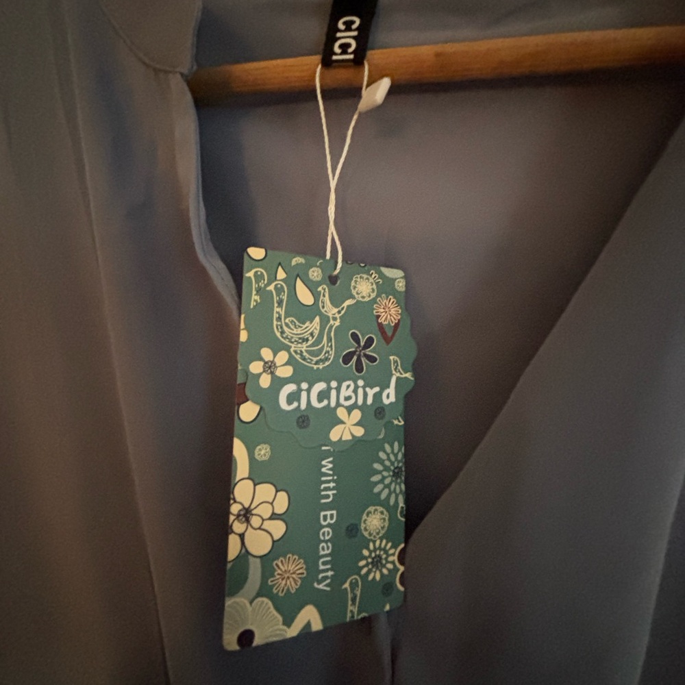 CiciBird Blue Blouse